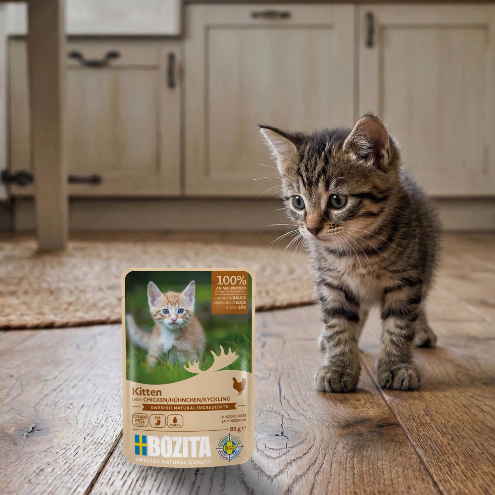 Mokra karma dla kociąt w sosie z kurczakiem 85g